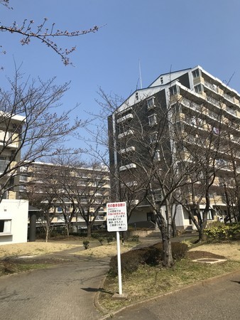 f:id:sumita-m:20200319110011j:image f:id:sumita-m:20200319110011j:image