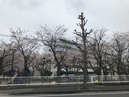 f:id:sumita-m:20200330153916j:image