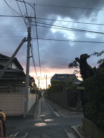 f:id:sumita-m:20200418180915j:image