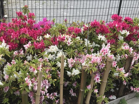 f:id:sumita-m:20200505142155j:image