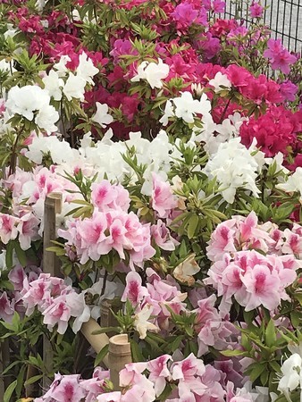 f:id:sumita-m:20200505142219j:image