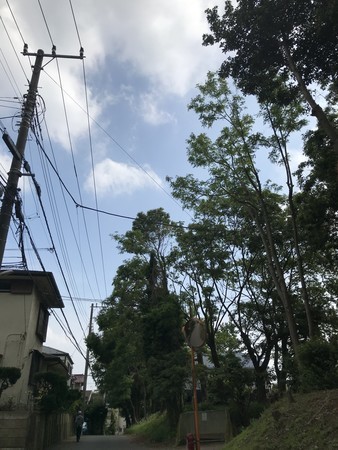 f:id:sumita-m:20200512151052j:image