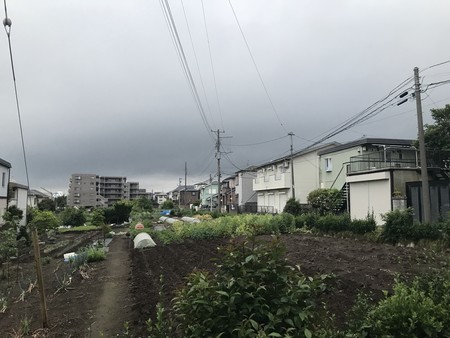 f:id:sumita-m:20200518181954j:image