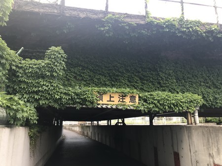 f:id:sumita-m:20200528152044j:image