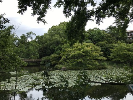 f:id:sumita-m:20200621145214j:image