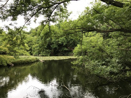 f:id:sumita-m:20200621145445j:image