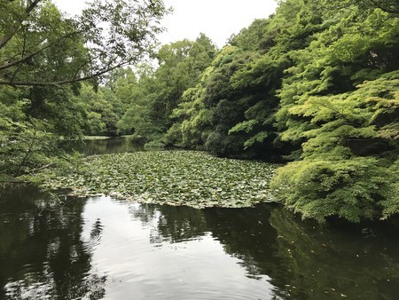 f:id:sumita-m:20200621145452j:image