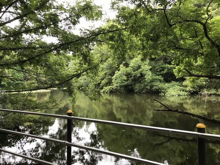 f:id:sumita-m:20200621150016j:image