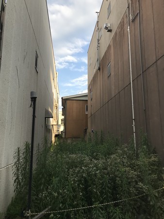 f:id:sumita-m:20200705174623j:image