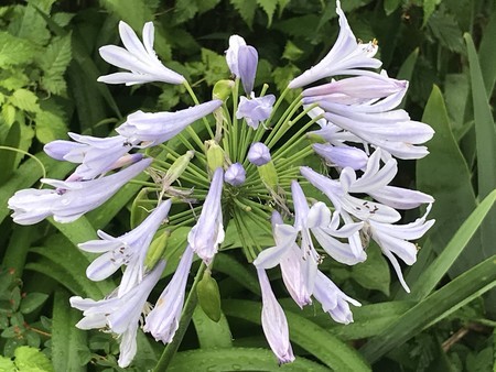 f:id:sumita-m:20200711175122j:image