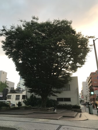 f:id:sumita-m:20200805180855j:image