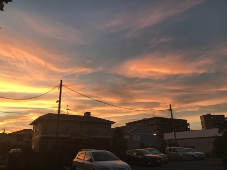 f:id:sumita-m:20200810184331j:image f:id:sumita-m:20200810184331j:image