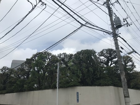f:id:sumita-m:20200906103523j:image