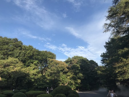 f:id:sumita-m:20200906170458j:image