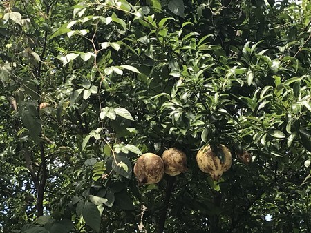 f:id:sumita-m:20200918130603j:image f:id:sumita-m:20200918130603j:image