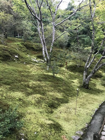 f:id:sumita-m:20200926134856j:image