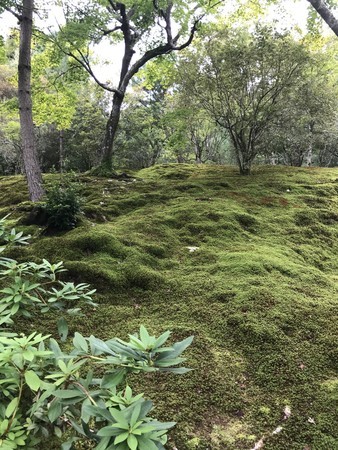 f:id:sumita-m:20200926134903j:image