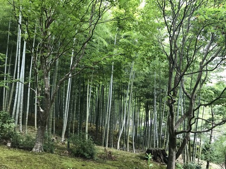 f:id:sumita-m:20200926135523j:image