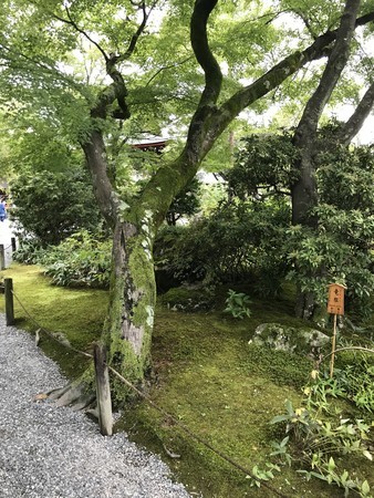 f:id:sumita-m:20200926140329j:image