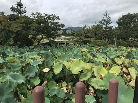 f:id:sumita-m:20200926142024j:image