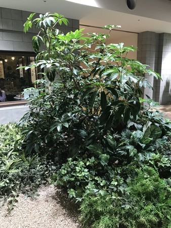 f:id:sumita-m:20201011151309j:image