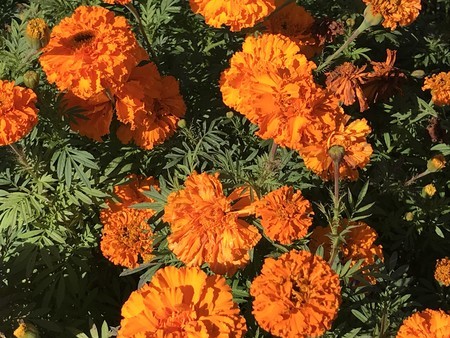 f:id:sumita-m:20201105105522j:image