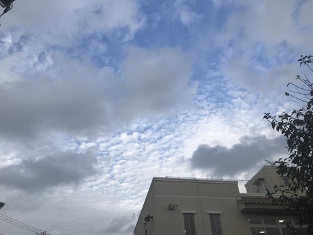 f:id:sumita-m:20201106153809j:image