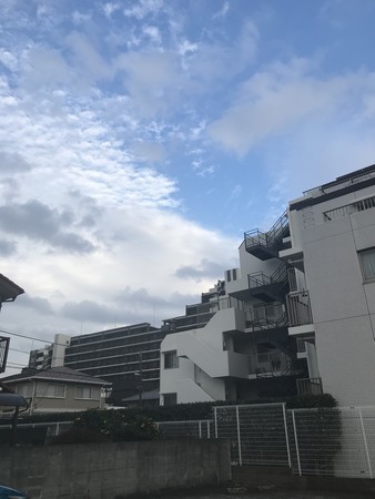 f:id:sumita-m:20201106154155j:image