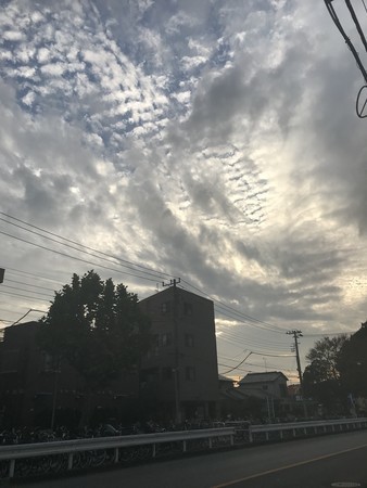 f:id:sumita-m:20201106154608j:image