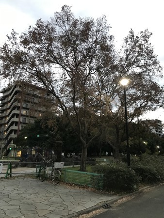 20201123163446