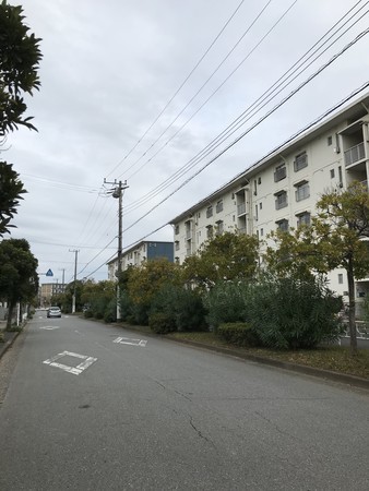 f:id:sumita-m:20201129130356j:image