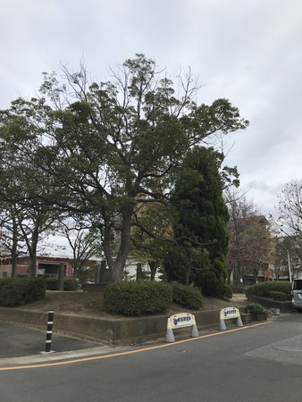 f:id:sumita-m:20201129130625j:image