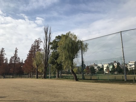 f:id:sumita-m:20201211112844j:image