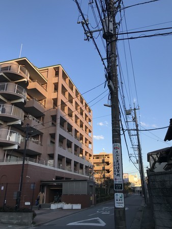 f:id:sumita-m:20210216164659j:image