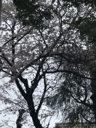 f:id:sumita-m:20210321104536j:image