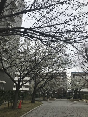 f:id:sumita-m:20210322154212j:image