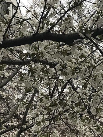 f:id:sumita-m:20210322154322j:image