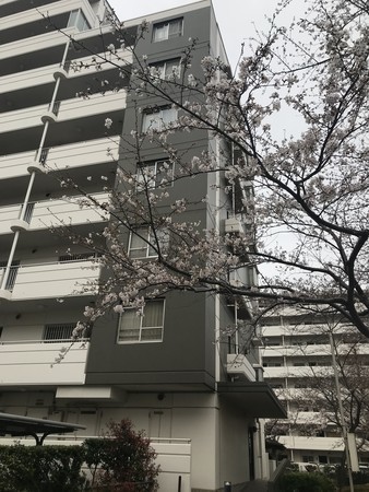 f:id:sumita-m:20210322154351j:image