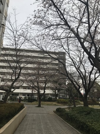 f:id:sumita-m:20210322154405j:image