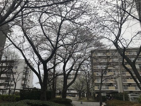 f:id:sumita-m:20210322154432j:image