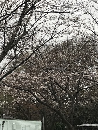 f:id:sumita-m:20210322154445j:image