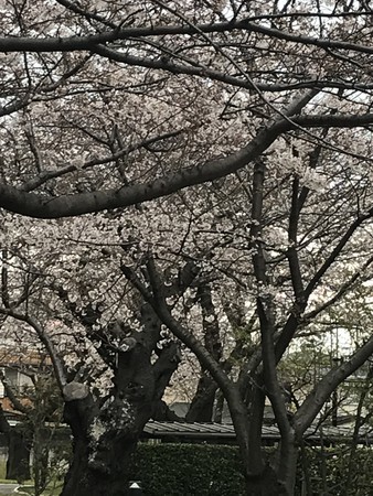 f:id:sumita-m:20210322154459j:image