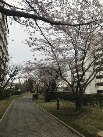 f:id:sumita-m:20210322154518j:image