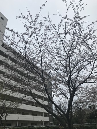 f:id:sumita-m:20210322154540j:image