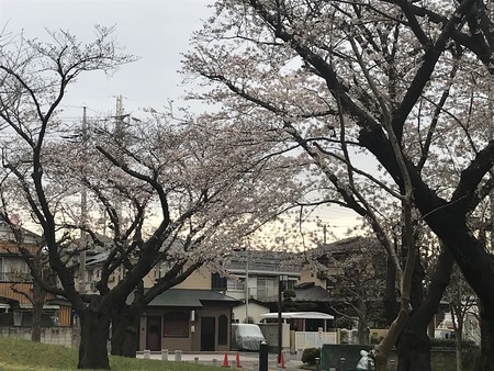 f:id:sumita-m:20210322154610j:image