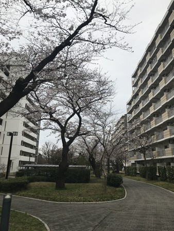 f:id:sumita-m:20210322154652j:image