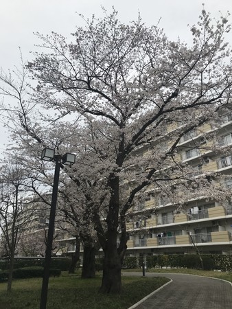 f:id:sumita-m:20210322154715j:image