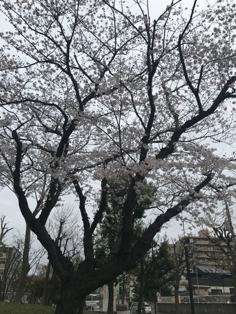 f:id:sumita-m:20210322154749j:image