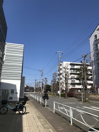 f:id:sumita-m:20210323110907j:image