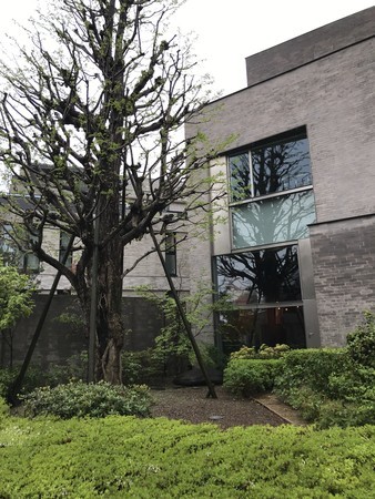 f:id:sumita-m:20210405115507j:image